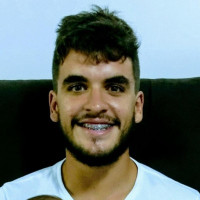 VINICIUS FERREIRA GIBIM