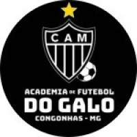 ACADEMIA DO GALO CONGONHAS